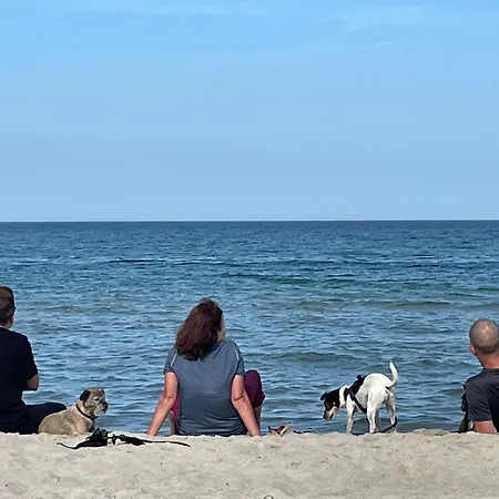 Strandwohnungen Zingst Direkt Am Meer *