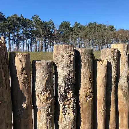 Strandwohnungen Zingst Direkt Am Meer Kirr