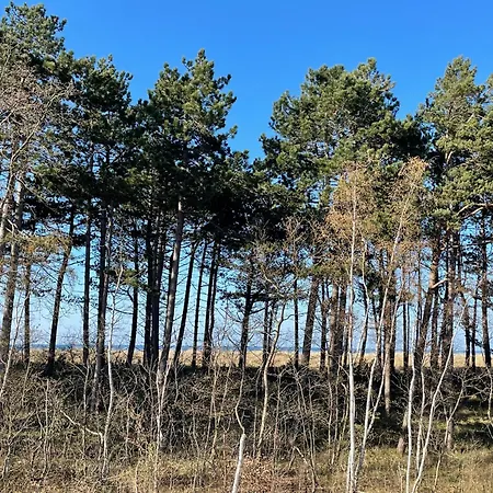 Strandwohnungen Zingst Direkt Am Meer * Kirr