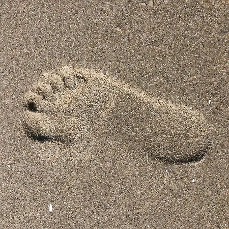 Strandwohnungen Zingst Direkt Am Meer *