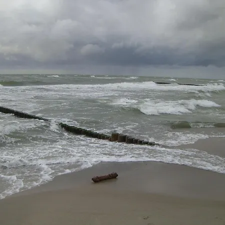 Strandwohnungen Zingst Direkt Am Meer Appartement *