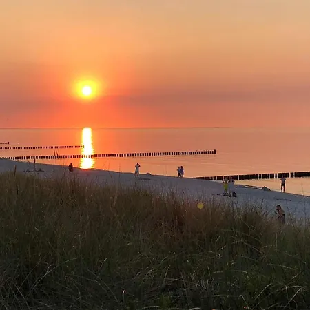 Appartement Strandwohnungen Zingst Direkt Am Meer *