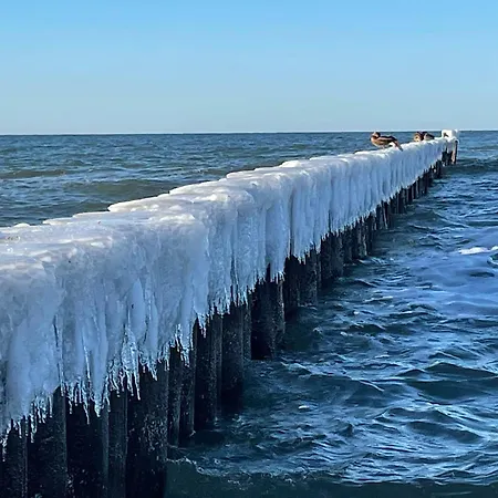 Strandwohnungen Zingst Direkt Am Meer Kirr
