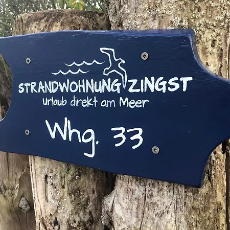 Strandwohnungen Zingst Direkt Am Meer Appartement