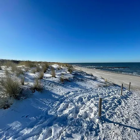 Strandwohnungen Zingst Direkt Am Meer *