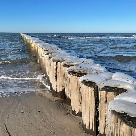 Strandwohnungen Zingst Direkt Am Meer